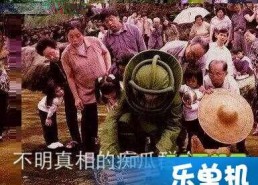 吃瓜群众的视频真实,揭秘吃瓜群众视角下的真实事件现场