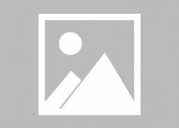 娱乐吃瓜君王嘉尔小说,娱乐圈的瓜田传奇