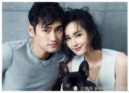 吃瓜娱乐圈有新瓜吃了,揭秘明星幕后故事